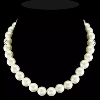 Single Line Shell Pearl Necklace